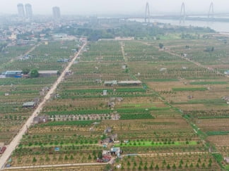 Hà Nội: nghiên cứu làm bãi giữa sông Hồng thành công viên
