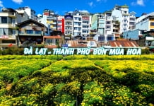 Festival hoa Đà Lạt năm nay sẽ có nhiều điểm mới