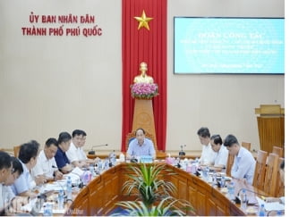 Chủ tịch tỉnh Kiên Giang làm việc, tháo gỡ khó khăn cho DN tại Phú Quốc