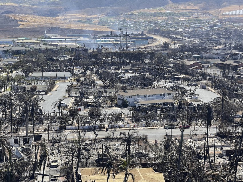 Cháy rừng Hawaii: Tang thương và giận dữ
