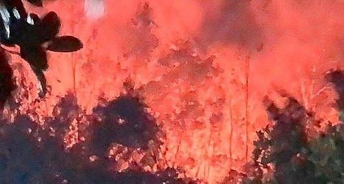 Cháy rừng ở Nghệ An, hàng ngàn người trắng đêm dập lửa