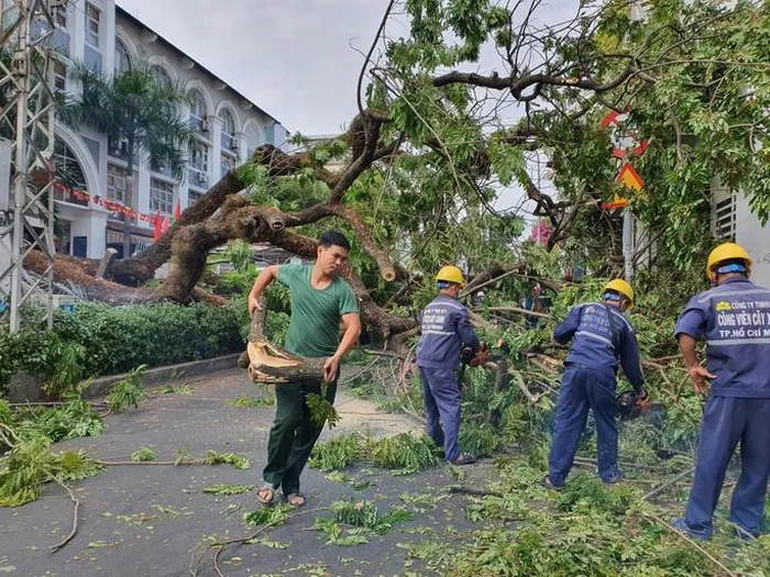 Ít nhất 2 người bị thương trong vụ bật gốc cây xanh ở quận 1