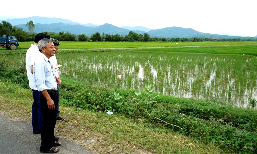 Người dân Khánh Hòa giao đất làm cao tốc trước khi có phương án đền bù